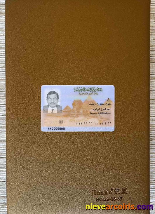 Egypt ID photolook